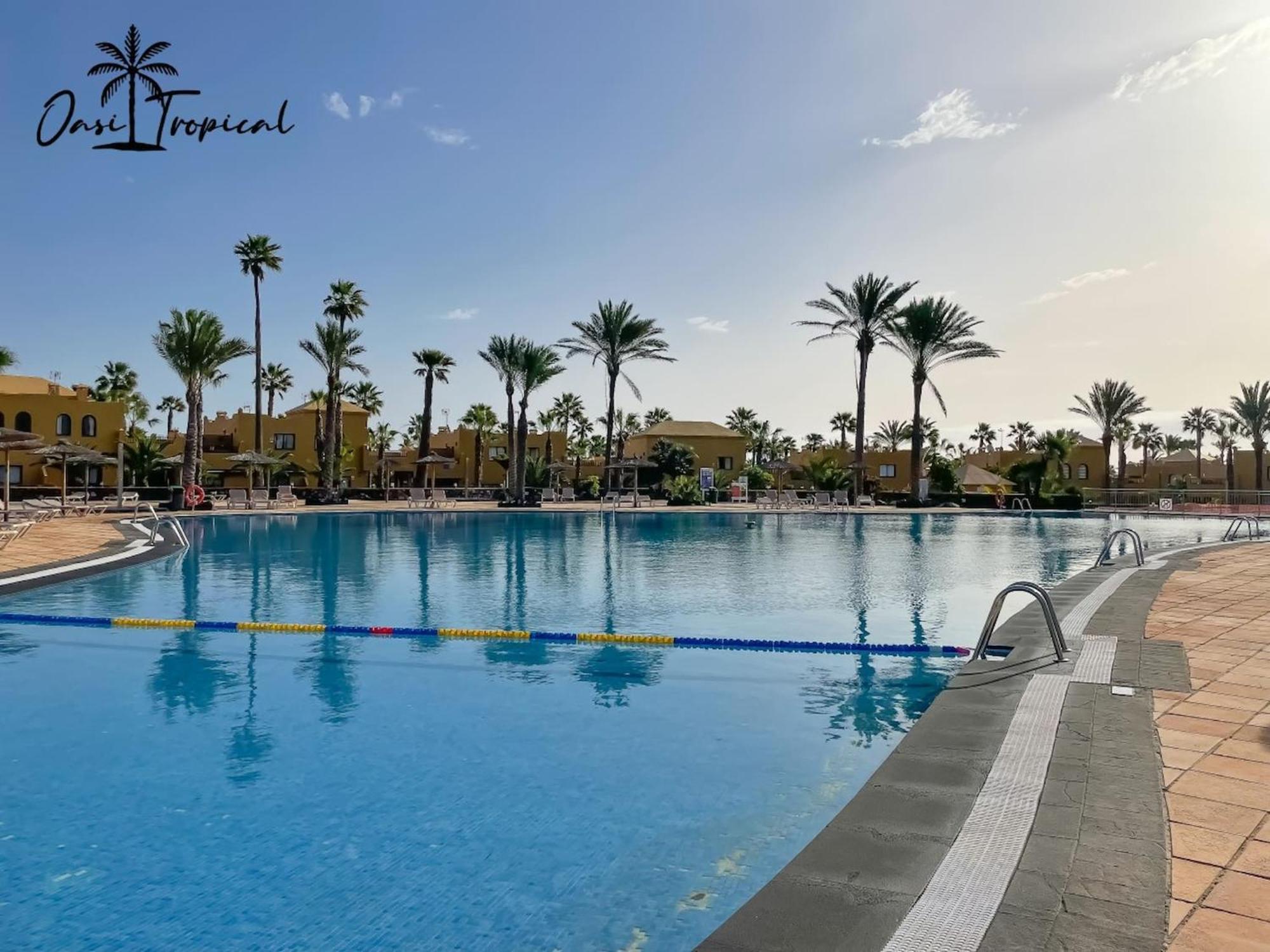 Oasi Tropical Wifi Free By Rentalfue Corralejo Extérieur photo
