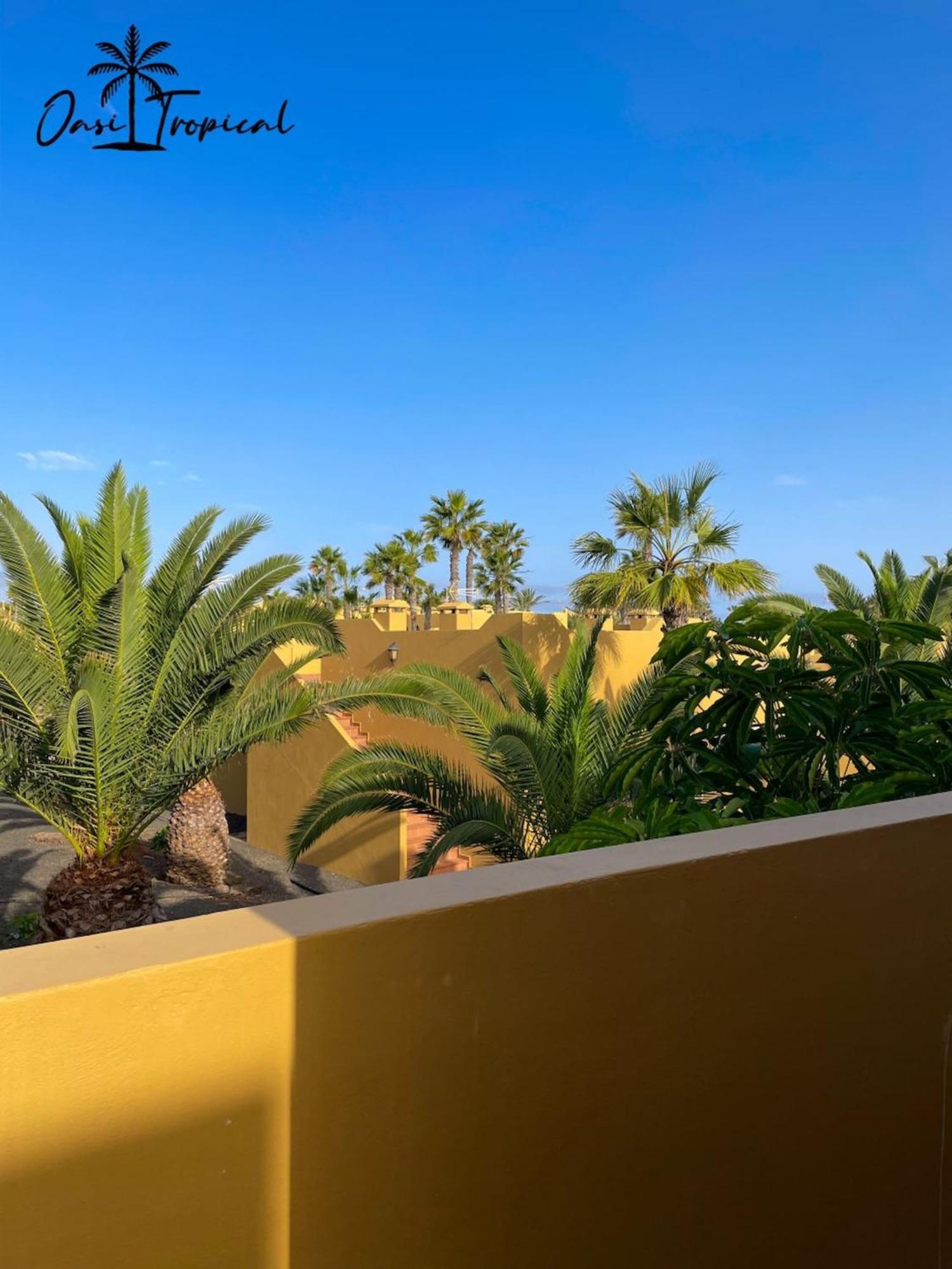 Oasi Tropical Wifi Free By Rentalfue Corralejo Extérieur photo
