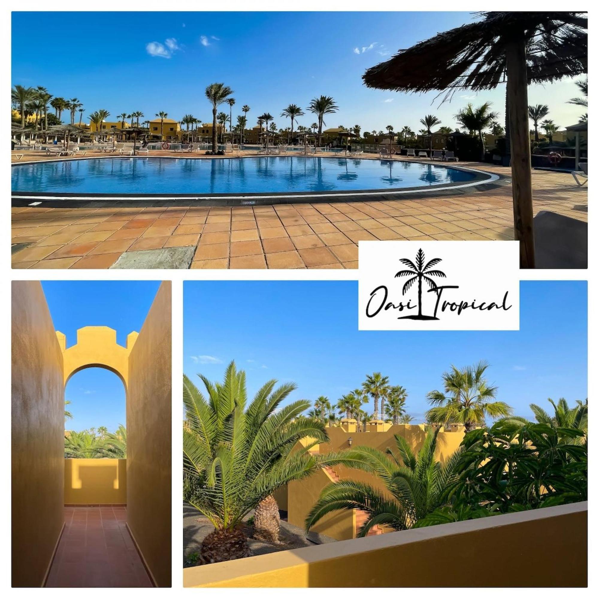 Oasi Tropical Wifi Free By Rentalfue Corralejo Extérieur photo